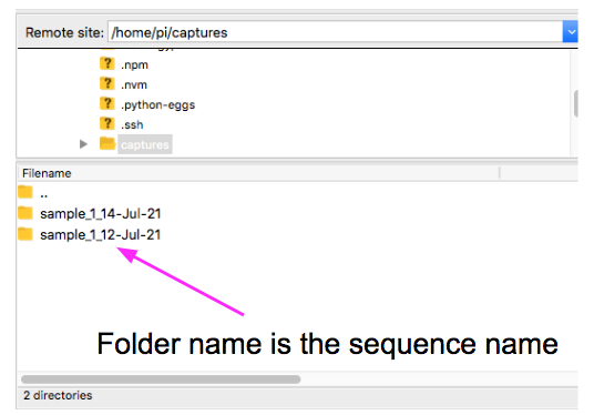 Finding the sequence folder(s)